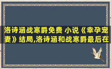 洛诗涵战寒爵免费 小说《幸孕宠妻》结局,洛诗涵和战寒爵最后在一起了吗
